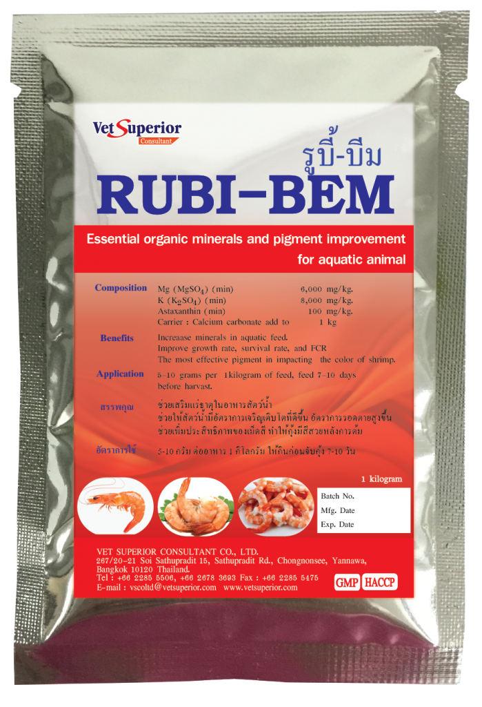 RUBI-BEM